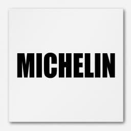 Michelin logo